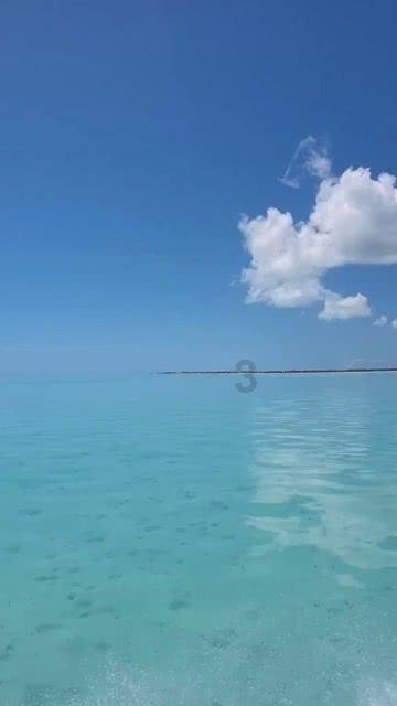 智能网联下半场“淘汰赛” 河北车企如何夺得先位？