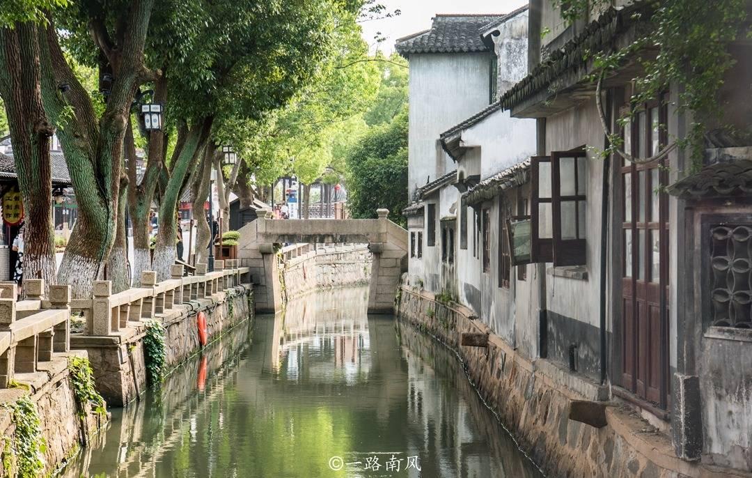 娃娃鱼一词的来历游戏画面